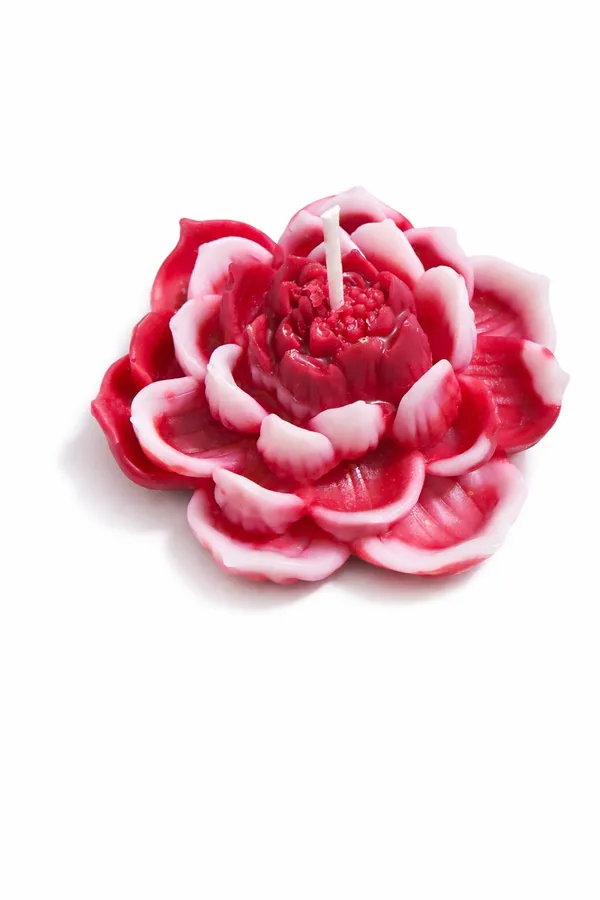 Lotus_Flower_Decorative_Candle__(8cm_x_8cm_Each)_|_Handcrafted_Floral_Candle_for_Home_Décor_&_Gifting_|_Wedding_Return_Gifts,_Festive_Decoration_|_Packs_of_1,_2,_3,_4_&_6