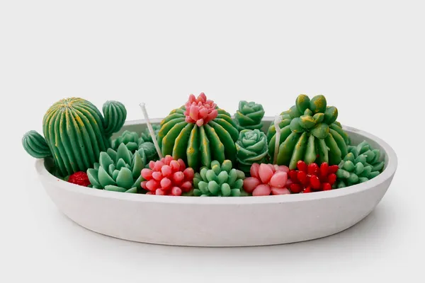Luxury_Succulent_Garden_Decor_Soy_Wax_Candle_in_Oval_Planter_|_Handcrafted_Cactus_Decorative_Candle_|_Premium_Home_Accent_&_Gift_Set