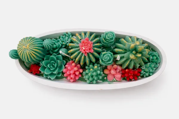 Luxury_Succulent_Garden_Decor_Soy_Wax_Candle_in_Oval_Planter_|_Handcrafted_Cactus_Decorative_Candle_|_Premium_Home_Accent_&_Gift_Set