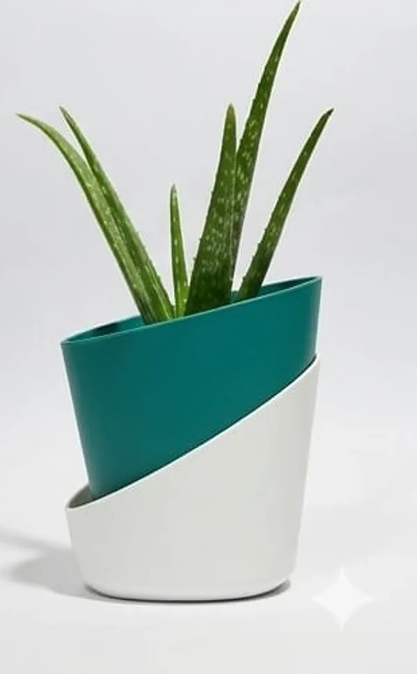 Aloe_Vera_Plant_ATs