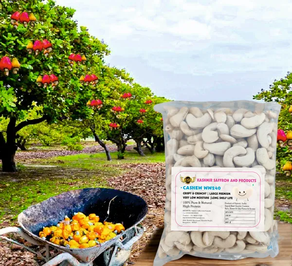 Premium_Whole_White_Ww240_Cashew_Nuts_-_Large