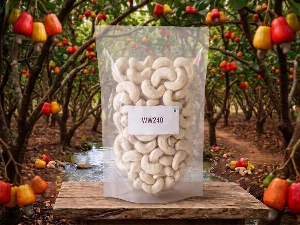 Whole_White_Cashew_Nut_WW240_-_Large_-_Royal_Premium_|_Natural_|_Export_Top_Quality