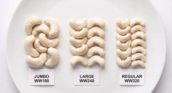 Whole_White_Cashew_Nut_WW240_-_Large_-_Royal_Premium_|_Natural_|_Export_Top_Quality