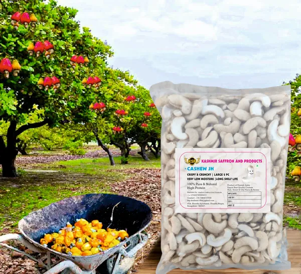 Premium_White_Jh(Half_Piece)_Cashew_Nuts_-_Large