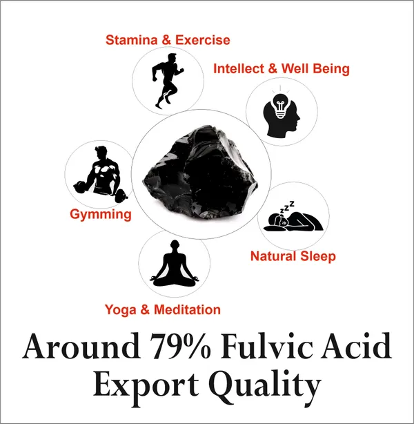 Kashmiri_Shilajit_With_79%_Fulvic_Acid_-_Lab_Certified