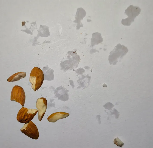Kashmiri_Mamra_Almonds_-_Straight,_100%_Pure_,_Fresh_&_Natural