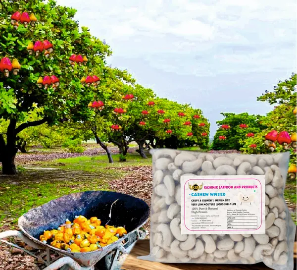 Premium_Whole_White_Ww320_Cashew_Nuts
