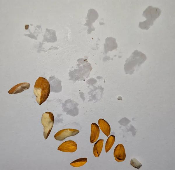 Kasmiri_Curved_Mamra_Almonds_Export_Best_Quality-Pure,_Fresh_&_Natural