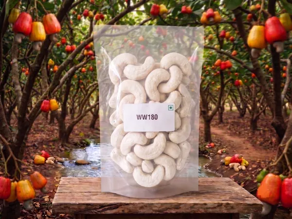 Whole_White_Cashew_Nut_WW180_-_Jumbo_-_Ultra_Premium_|_Royal_Luxurious_|_Natural_|_Export_Top_Quality