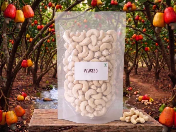 Whole_White_Cashew_Nut_WW320_-_Regular_-_Premium_|_Natural_|_Export_Top_Quality_