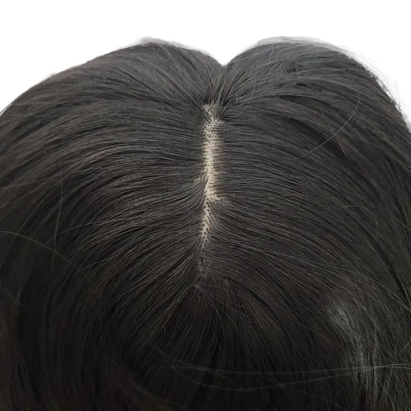 Hair_Bun_Extension
