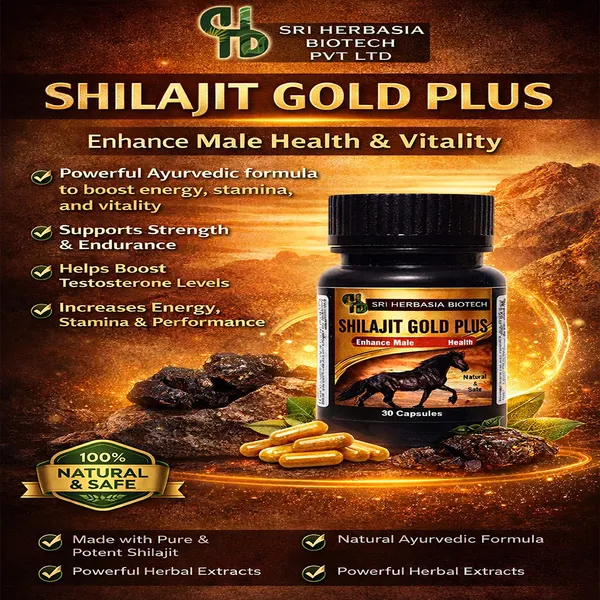 Premium_Shilajit_Gold_Plus_Ayurvedic_Male_Health_Supplement_30_Capsules_And_Chyawanprash_Ayurvedic_Immunity_Booster_With_Amla_And_Herbs