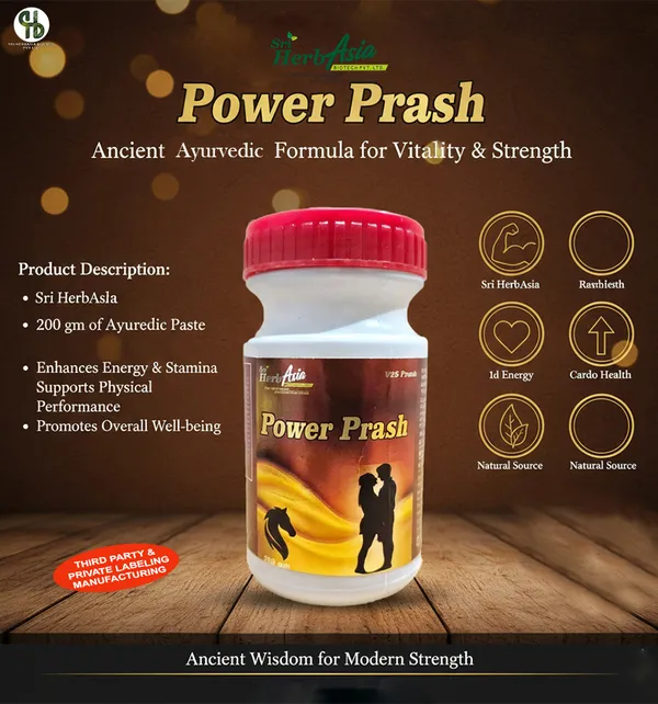 Premium_Power_Prash_Ayurvedic_Vitality_&_Strength_Supplement_200G