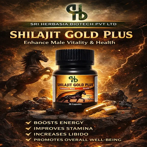 Premium_Shilajit_Gold_Plus_Ayurvedic_Male_Health_Supplement_30_Capsules_And_Chyawanprash_Ayurvedic_Immunity_Booster_With_Amla_And_Herbs