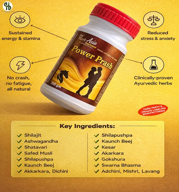 Premium_Power_Prash_Ayurvedic_Vitality_&_Strength_Supplement_200G