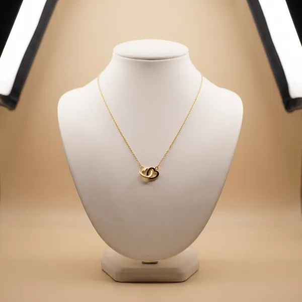 Bartillia_Everlasting_Bond_Interlocking_Heart_Necklace