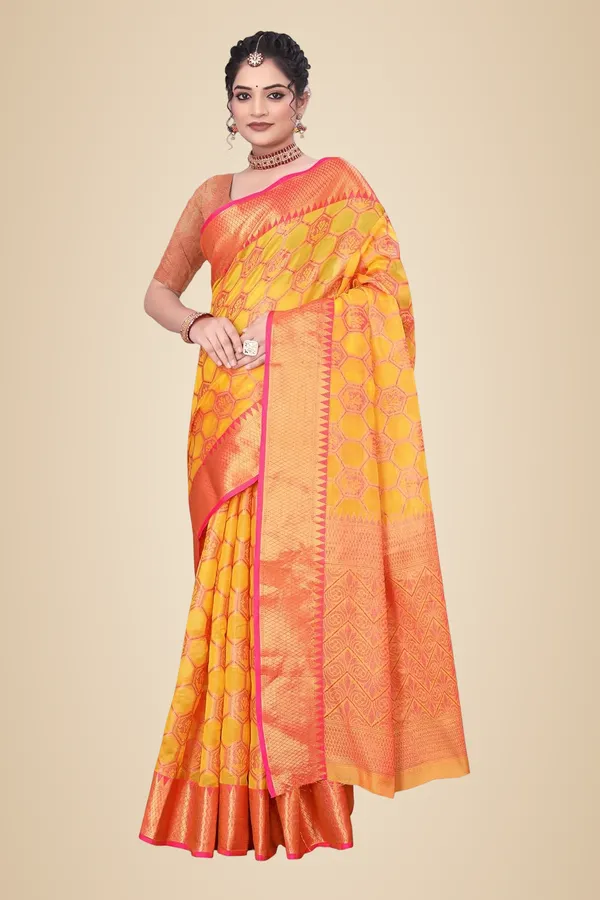Mango_Silk_Organza_Silk_Saree_For_Women