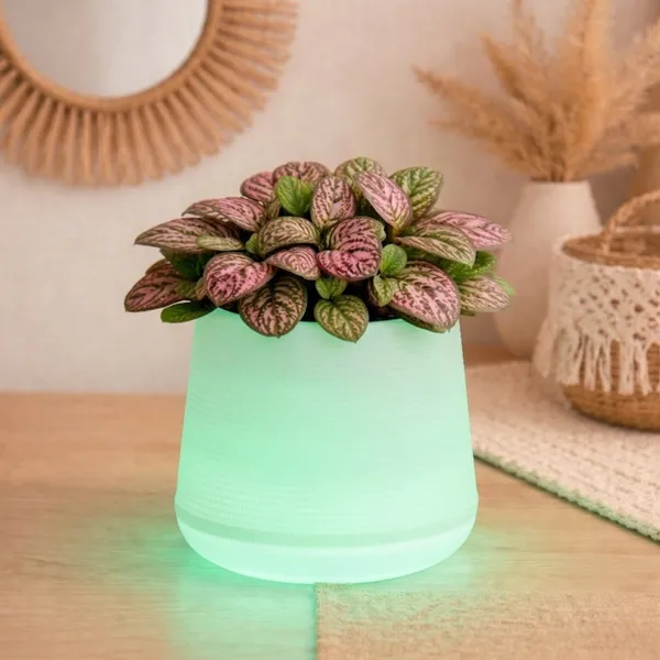 Green_Plastic_Premium_Led_Planter_For_Gifting,_Table_Top_And_Bedroom