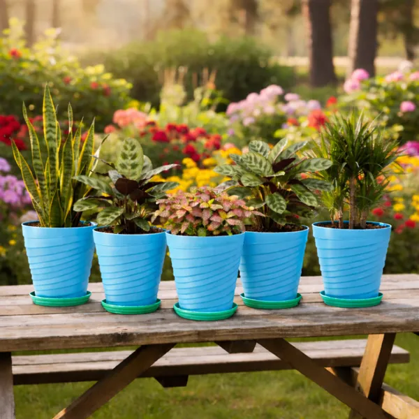 Blue_Plastic_Premium_Planter_For_Home,_Garden_And_Balcony