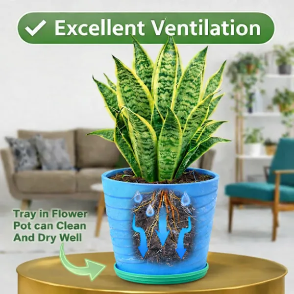 Blue_Plastic_Premium_Planter_For_Home,_Garden_And_Balcony