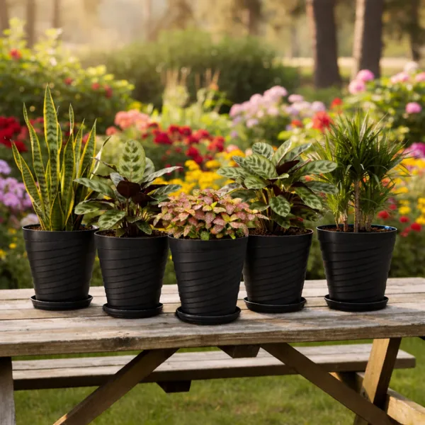 Black_Plastic_Premium_Planter_For_Home,_Garden_And_Balcony