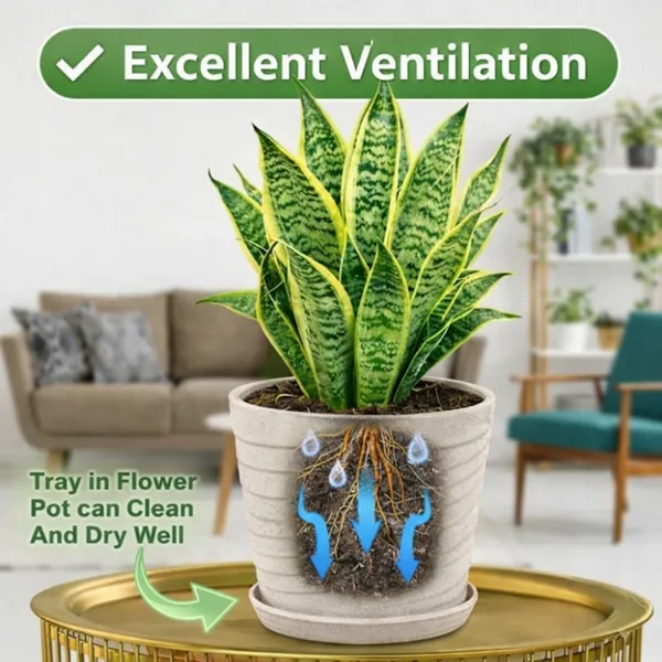 White_Plastic_Premium_Planter_For_Home,_Garden_And_Balcony