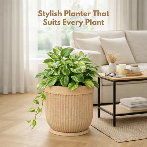 Beige_Polymer_And_Plastic_Premium_Planter_For_Indoor_And_Outdoor_Plants,_Home,_Office