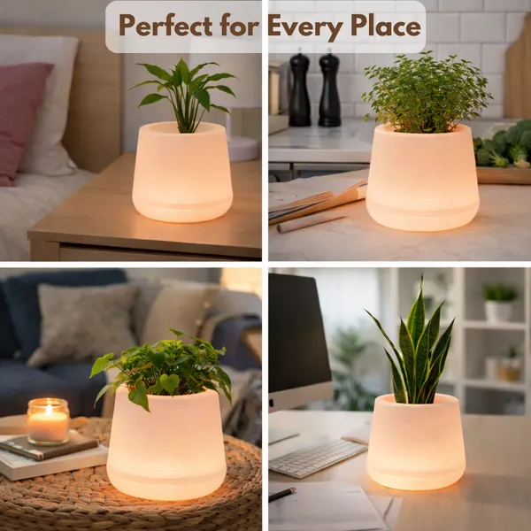 Orange_Plastic_Premium_Led_Planter_For_Gifting,_Table_Top_And_Bedroom