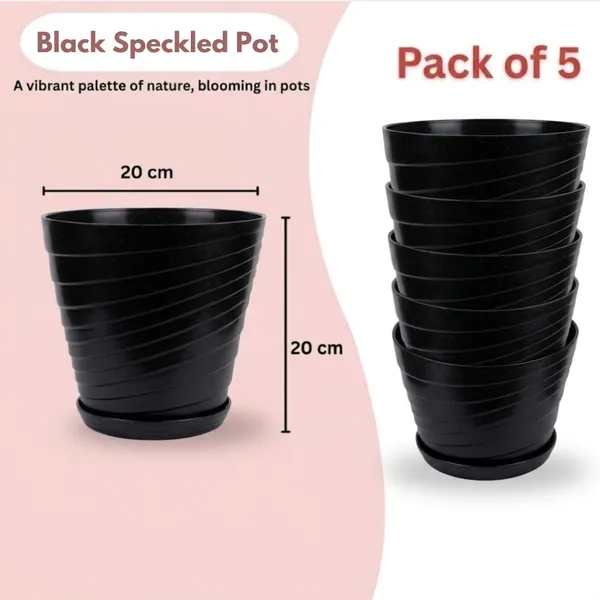 Black_Plastic_Premium_Planter_For_Home,_Garden_And_Balcony