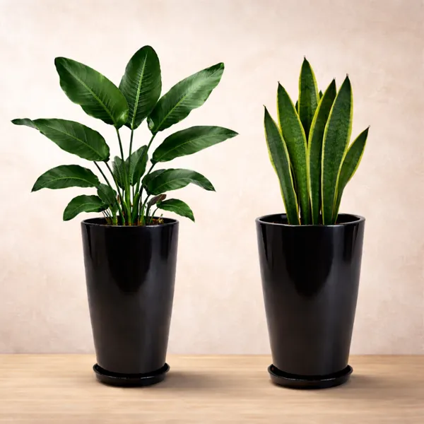 Black_Plastic_Premium_Tower_Planter_For_Large_Indoor_And_Outdoor_Plants