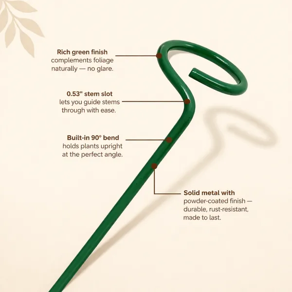 Blue_Metal_Premium_Plant_Support_For_Strong_And_Healthy_Plant_Growth