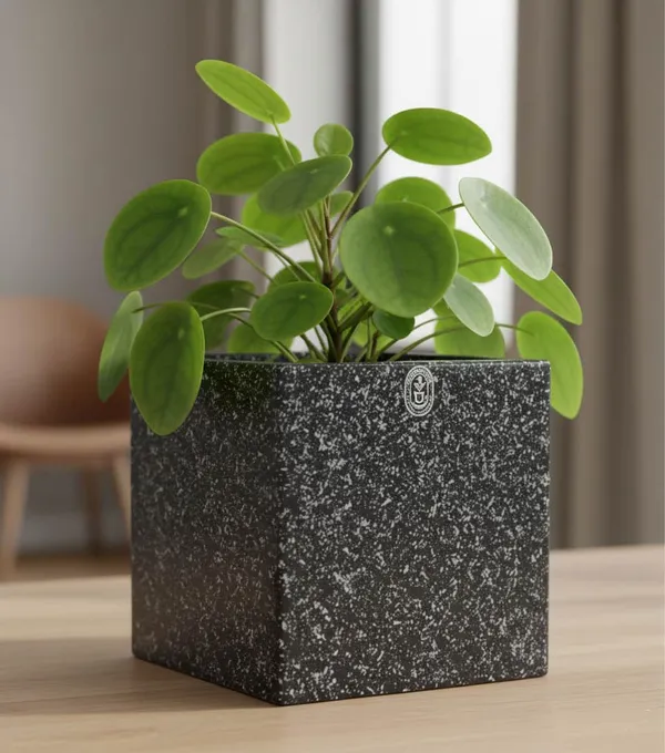 Black_Cube_Rotofiber_Planter
