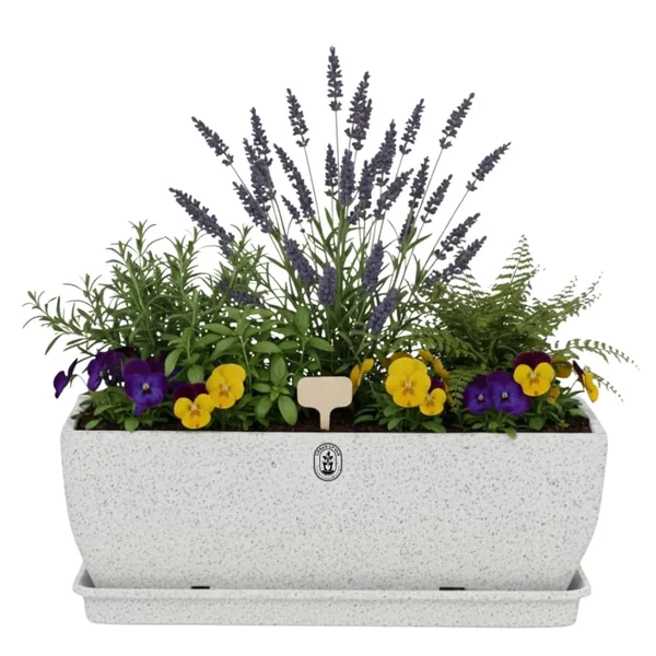 White_Plastic_Premium_Planter_For_Window_Sill_And_Balcony_Railing