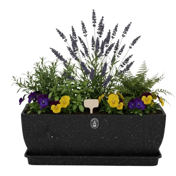 Black_Plastic_Premium_Planter_For_Window_Sill_And_Balcony_Railing