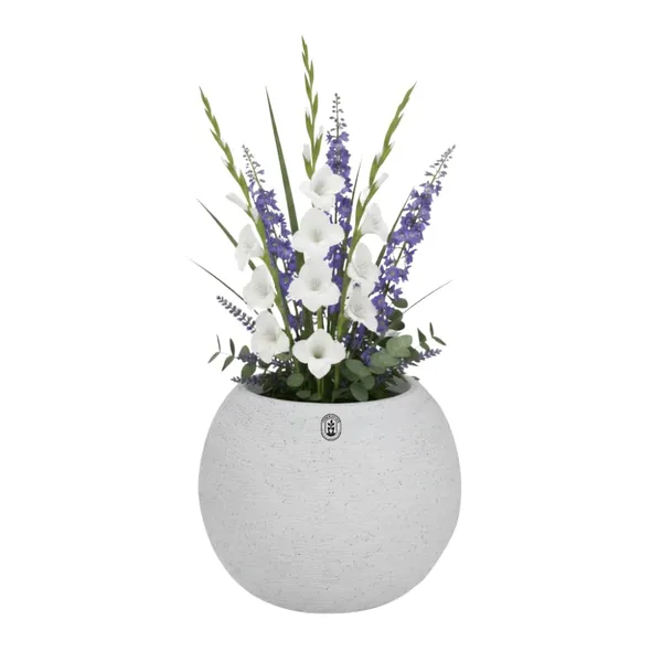 White_Plastic_Premium_Planter_For_Indoor_And_Outdoor_Gardening