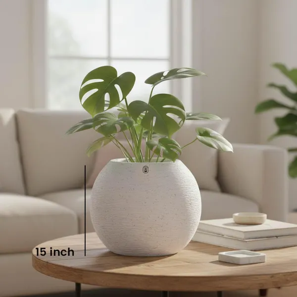 White_Plastic_Premium_Planter_For_Indoor_And_Outdoor_Gardening