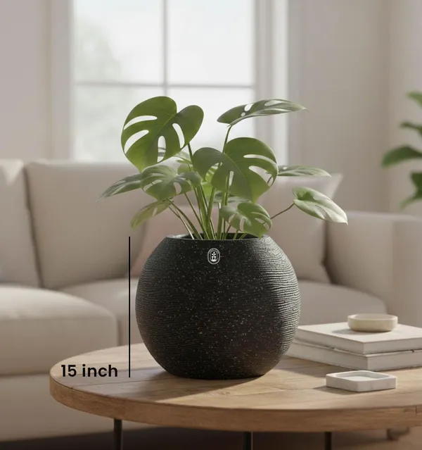 Black_Plastic_Premium_Planter_For_Traditional_Balcony_Decor