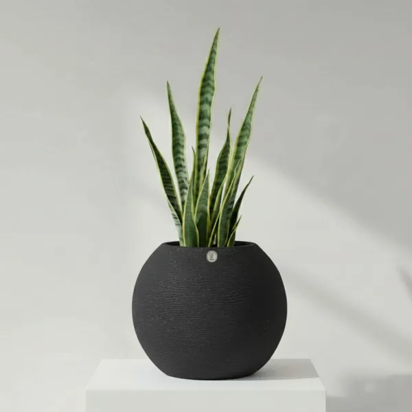 Black_Plastic_Premium_Planter_For_Traditional_Balcony_Decor