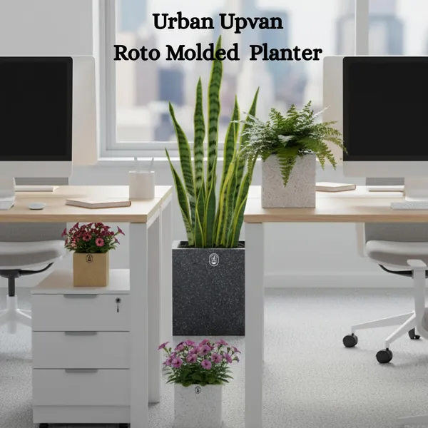 Beige_Plastic_Premium_Planter_For_Contemporary_Indoor_Decor