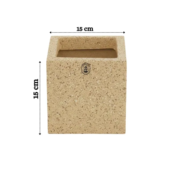 Beige_Plastic_Premium_Planter_For_Contemporary_Indoor_Decor