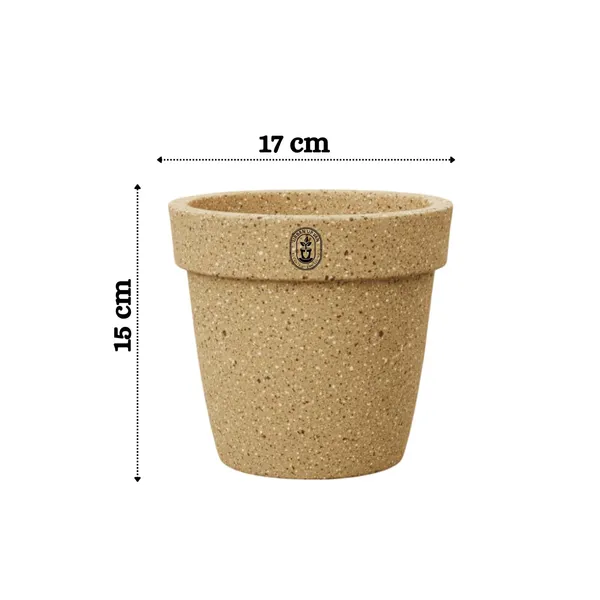 Beige_Plastic_Premium_Planter_For_Modern_Minimalist_Decor