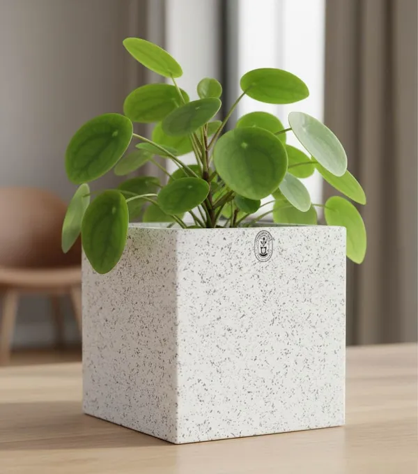 White_Plastic_Premium_Planter_For_Minimalist_Office_Decor
