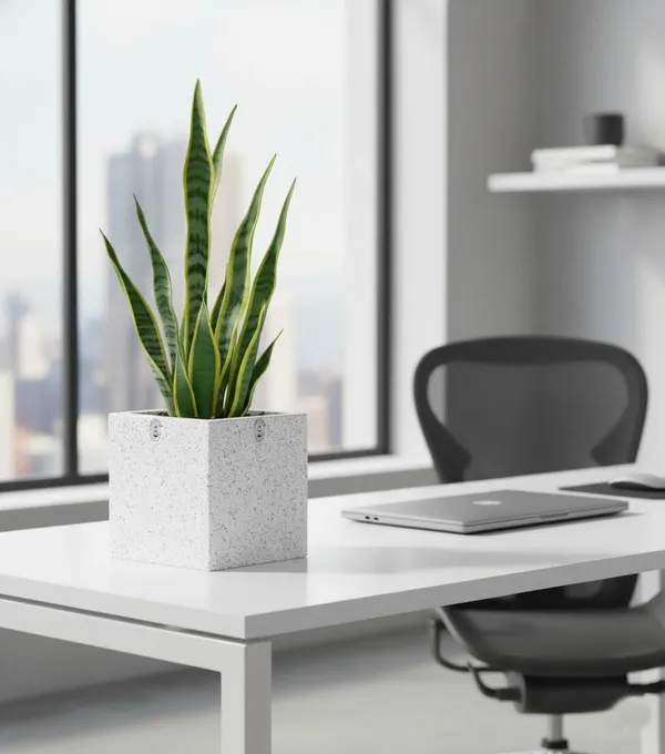 White_Plastic_Premium_Planter_For_Minimalist_Office_Decor