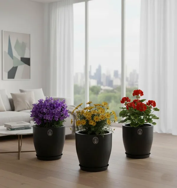 Black_Plastic_Premium_Planter_For_Balcony_And_Home_Decor