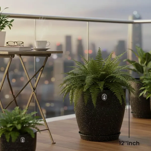 Black_Plastic_Premium_Planter_For_Balcony_And_Home_Decor