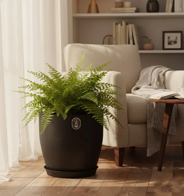 Black_Plastic_Premium_Planter_For_Balcony_And_Home_Decor
