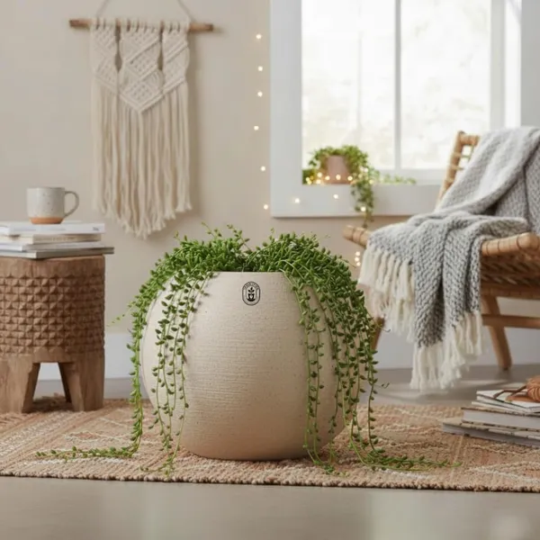 Beige_Plastic_Premium_Planter_For_Traditional_Home_Decor