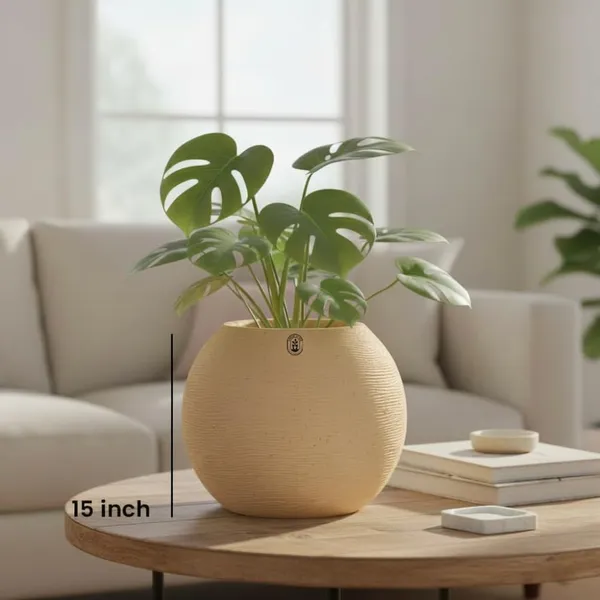 Beige_Plastic_Premium_Planter_For_Traditional_Home_Decor