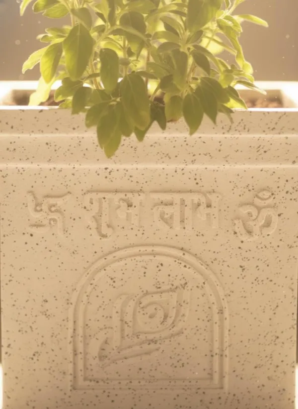 White_Rotofiber_Tulsi_Planter_For_Home_And_Temple_Courtyards