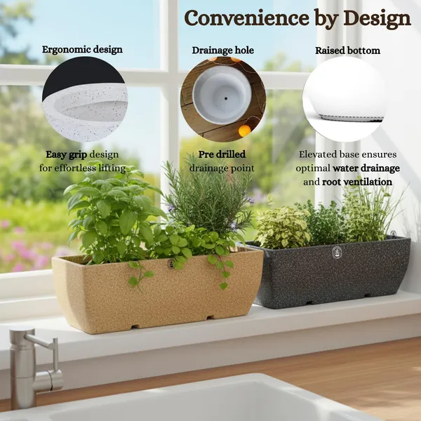 Beige_Plastic_Premium_Planter_For_Balcony_And_Office_Gardening